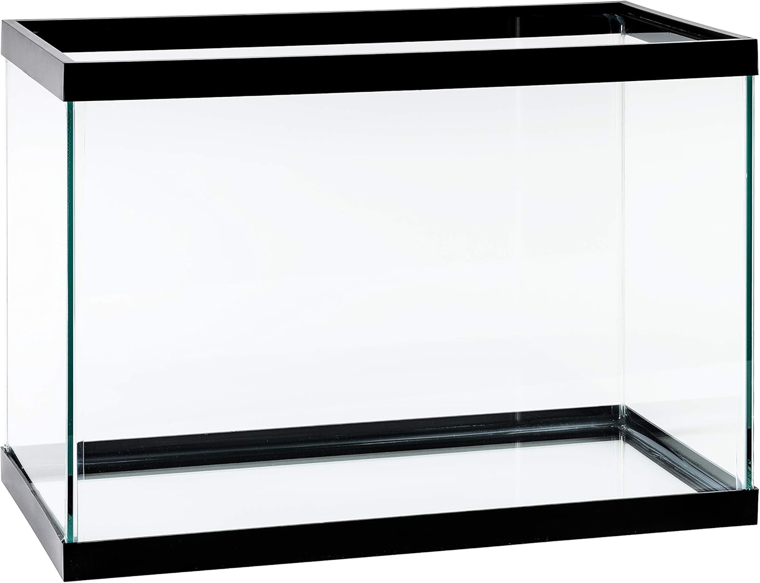 20 Gallon High/Tall Aquarium – Recommended